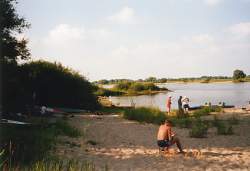 Elbtalaue