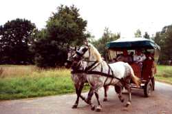 Mit der Kutsche durch die Elbtalaue